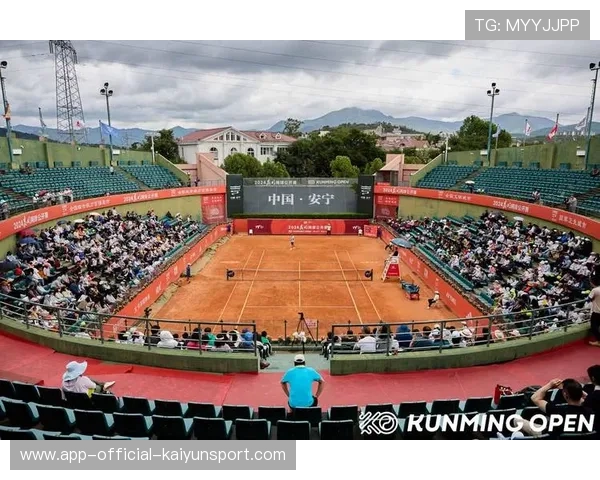 网球赛事商业赞助带动地方中小企业参与 网球赛事商业赞助带动地方中小企业参与