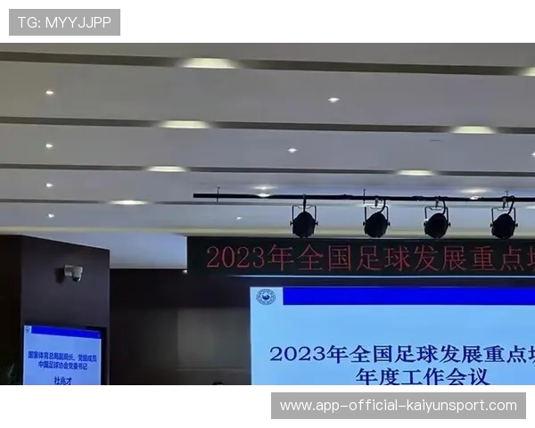 中国足球青少年足球发展模式多元化，中国足球青少年足球发展模式多元化研究