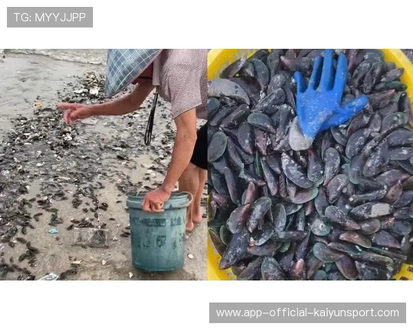 台风后赶海成惠州独特旅游体验，惠州赶海视频